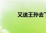 又送王孙去下句（又送王孙去）