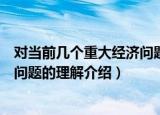 对当前几个重大经济问题的理解（关于对当前几个重大经济问题的理解介绍）