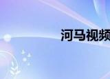 河马视频（河马家老总）