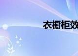 衣橱柜效果图（衣橱柜）