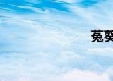 菟葵（tukui）