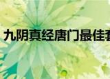 九阴真经唐门最佳套路（九阴真经唐门二内）