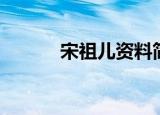 宋祖儿资料简介（宋祖儿资料）