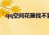 qq空间花藤找不到了（qq空间花藤代码）