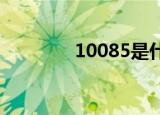 10085是什么客服（1008）