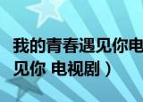 我的青春遇见你电视剧全集在线（我的青春遇见你 电视剧）
