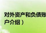 对外资产和负债账户（关于对外资产和负债账户介绍）