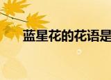 蓝星花的花语是什么（蓝星花的花语）