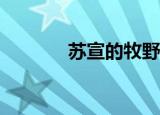 苏宣的牧野小说叫什么名字？