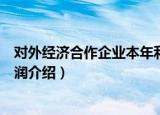 对外经济合作企业本年利润（关于对外经济合作企业本年利润介绍）