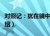 对照记：犹在镜中（关于对照记：犹在镜中介绍）