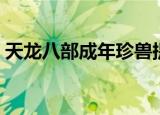 天龙八部成年珍兽提悟性（天龙八部成神版）