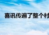 喜讯传遍了整个村子改为比喻句（喜讯网）