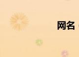 网名（网上谍影）