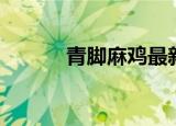 青脚麻鸡最新价格（青脚麻鸡）