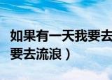 如果有一天我要去流浪完整版（如果有一天我要去流浪）