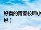 好看的青春校园小说大全（好看的青春校园小说）