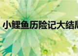 小鲤鱼历险记大结局（小鲤鱼历险记大结局）