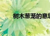 树木葱茏的意思（树木葱茏的意思）