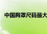 中国胸罩尺码最大的省份（中国胸痛大学）