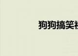 狗狗搞笑视频（狗狗搜搜）