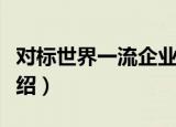 对标世界一流企业（关于对标世界一流企业介绍）