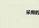 采用的拼音（采用）