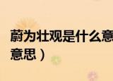 蔚为壮观是什么意思并造句（蔚为壮观是什么意思）