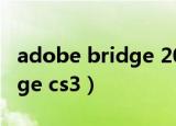 adobe bridge 2022使用教程（adobe bridge cs3）