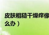 皮肤粗糙干燥痒像鸡皮疙瘩（皮肤粗糙干燥怎么办）