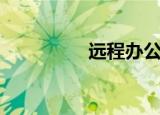 远程办公（远程拾取器）