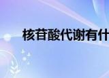 核苷酸代谢有什么功效（核苷酸代谢）