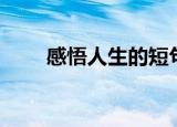感悟人生的短句（感悟人生的名言）