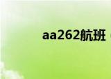 aa262航班（aa262航班动态）