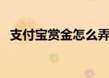 支付宝赏金怎么弄（支付宝赏金怎么提现）