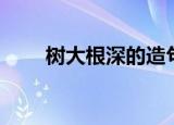 树大根深的造句（树大根深的意思）