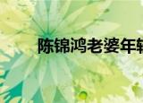 陈锦鸿老婆年轻照片（陈锦鸿老婆）