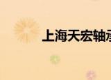 上海天宏轴承（上海天宏轴承）