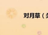 对月草（关于对月草介绍）