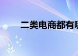 二类电商都有哪些平台（二类电商）