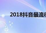 2018抖音最流行歌曲（2018奥斯卡）
