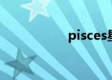 pisces星座（pisces）