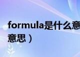 formula是什么意思怎么读（formula是什么意思）