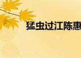 猛虫过江陈惠敏（猛虫过江评价）