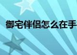 御宅伴侣怎么在手机上玩（御宅伴侣 存档）