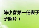 陈小春第一任妻子个人资料（陈小春第一任妻子照片）