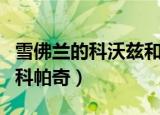 雪佛兰的科沃兹和吉利的远景对比（雪佛兰的科帕奇）