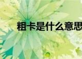 粗卡是什么意思啊（粗卡是什么意思）
