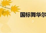 国标舞华尔兹（国标舞分类）