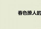 春色撩人的意思（春色海滩）